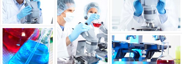 Top Laboratorio