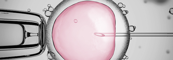 ICSI – Microinyección espermática