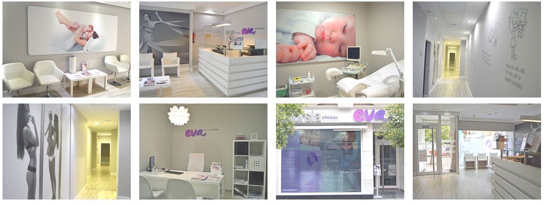 Fecundación in vitro en Albacete