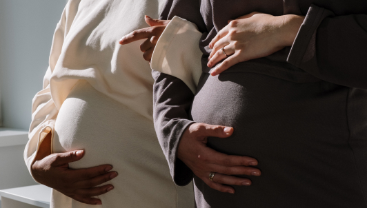 Tu Guia De Fertilidad