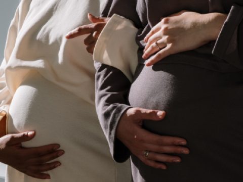 Tu Guia De Fertilidad